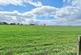 Additional image 12 of Pleasant View, Medomsley, Consett, DH8