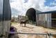 Additional image 15 of Whitland, SA34