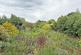 Additional image 19 of Church Lane, Bicton, Shrewsbury