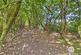 Additional image 53 of Old Hall Lane, Pleasington, BB2