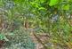 Additional image 2 of Estridge Way, Tonbridge, TN10