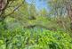 Additional image 52 of Bwlchllan, Lampeter, SA48