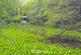 Additional image 61 of Bwlchllan, Lampeter, SA48