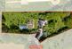 Additional image 28 of Gunner Lane, Rubery, Rednal, Birmingham, B45