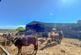 Additional image 33 of Hebron, Whitland, SA34