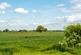 Additional image 16 of Mill Lane, Ryther, Tadcaster