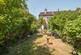Additional image 12 of Headstone Lane, Harrow