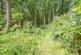Additional image 18 of Wood Walk, Wombwell, Barnsley