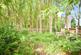 Additional image 19 of Wood Walk, Wombwell, Barnsley