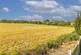 Additional image 16 of Badger Wood, Morecambe LA3