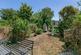 Additional image 6 of Canbury Avenue, Kingston Upon Thames KT2