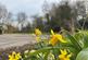 Additional image 20 of Vicarage Meadow, Southminster