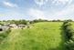 Additional image 2 of Honiton