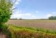 Additional image 17 of Shottenden Road, Molash, Canterbury, CT4