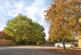 Additional image 12 of Lucerne Close, Cambridge