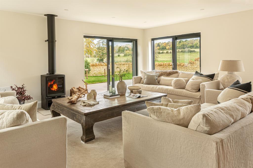 Living room, fireplace