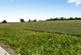 Additional image 18 of Exminster, Exeter