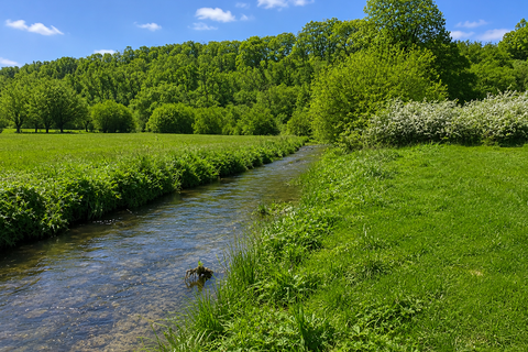 Land for sale, Ford, Nr.Chippenham SN14