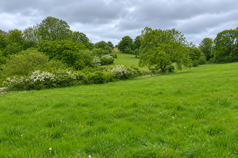 Farm land for sale, Ford, Nr.Chippenham SN14