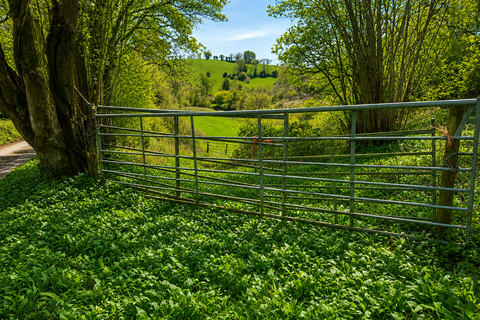 Farm land for sale, Ford, Nr.Chippenham SN14