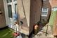 Additional image 8 of Brenthurst Road, Willesden, London, NW10