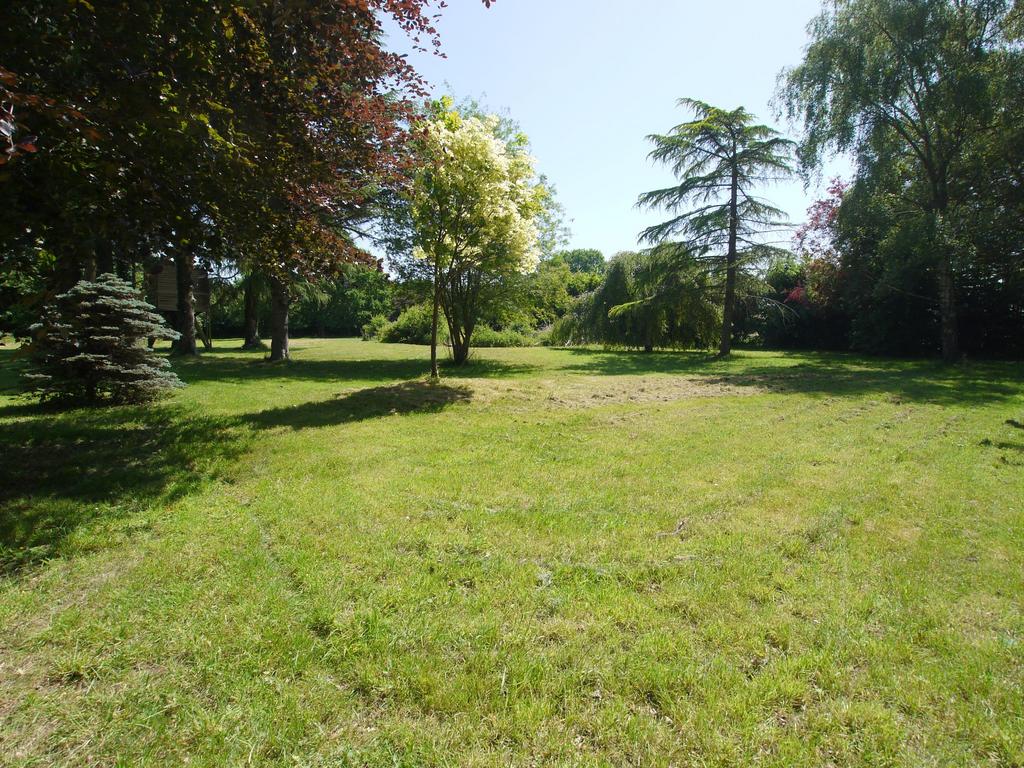 Photograph 15