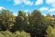 Additional image 8 of Tantallon Road, Glasgow, Glasgow City, G41