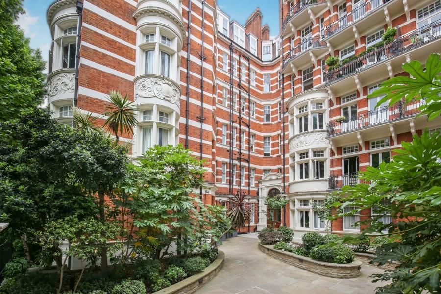 Apartment in London - More