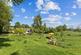 Additional image 28 of Redgorton, Perth, PH1