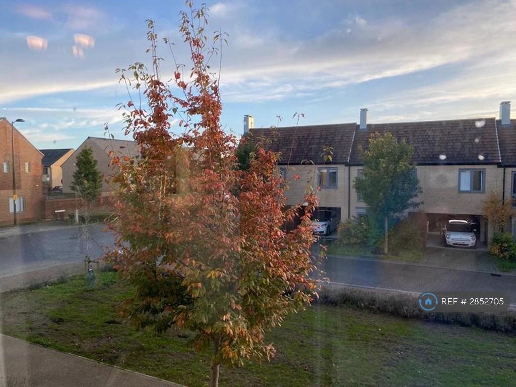 House in Cambridge, Trumpington - More