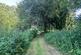 Additional image 32 of Mill Orchard, Salisbury SP3