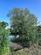 Additional image 34 of Mill Orchard, Salisbury SP3