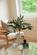 Additional image 5 of 9 Broughton Road, Summerston, Glasgow, G23 5HL