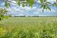 Additional image 15 of Colchester Road, Coggeshall, CO6