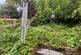 Additional image 11 of Bryn Steffan, Lampeter, SA48