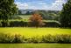 Sandhurst, Cranbrook, TN18 photo 2
