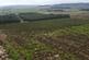 Four Crosses, Nr Wwrexham, Denbighshire LL11 Maesmaelor Wood