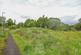Upper Cartsburn, Greenock PA15 photo 4