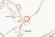 Additional image 17 of Whaddon Lane, Hilperton, Trowbridge, Wiltshire