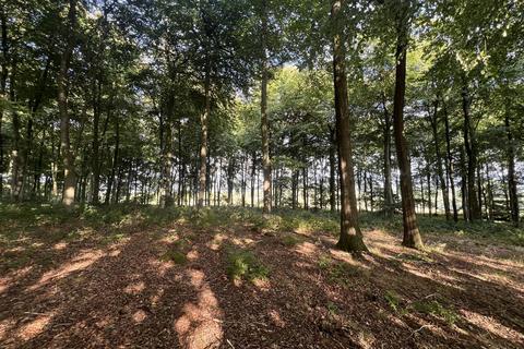 Land for sale, LOT 2 Glopa Wood, Old Racecourse, Oswestry, Shropshire, SY10 7HP