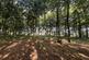 LOT 2 Glopa Wood, Old Racecourse, Oswestry, Shropshire, SY10 7HP