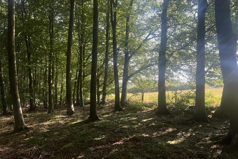 Land for sale, LOT 2 Glopa Wood, Old Racecourse, Oswestry, Shropshire, SY10 7HP