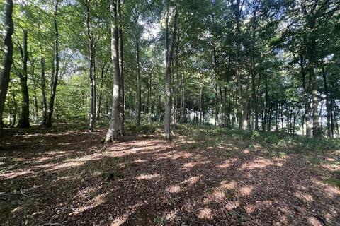 Land for sale, LOT 2 Glopa Wood, Old Racecourse, Oswestry, Shropshire, SY10 7HP