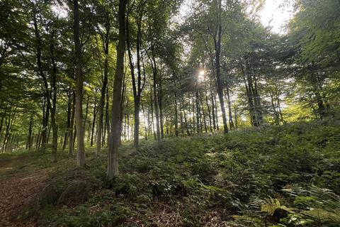 Land for sale, LOT 1 Glopa Wood, Old Racecourse, Oswestry, Shropshire. SY10 7HP