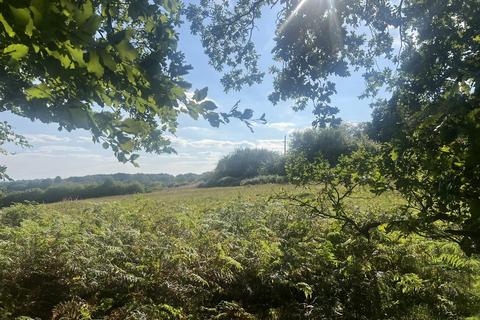 Land for sale, LOT 1 Glopa Wood, Old Racecourse, Oswestry, Shropshire. SY10 7HP