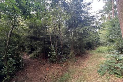 Land for sale, LOT 1 Glopa Wood, Old Racecourse, Oswestry, Shropshire. SY10 7HP