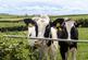 Additional image 24 of Highford Farm, Bideford EX39