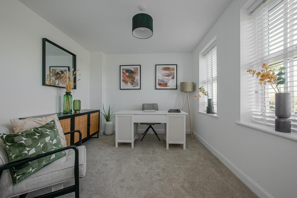 Study
