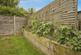 Additional image 20 of Kings Avenue, Framlingham, WOODBRIDGE