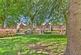 Additional image 29 of New Park Road, Chichester